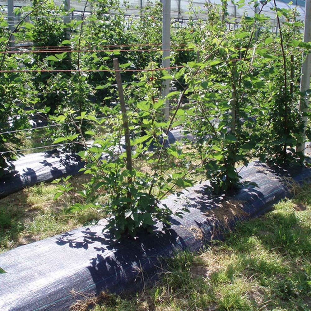 S7927742_1