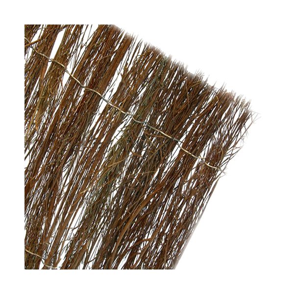 S7900613_0